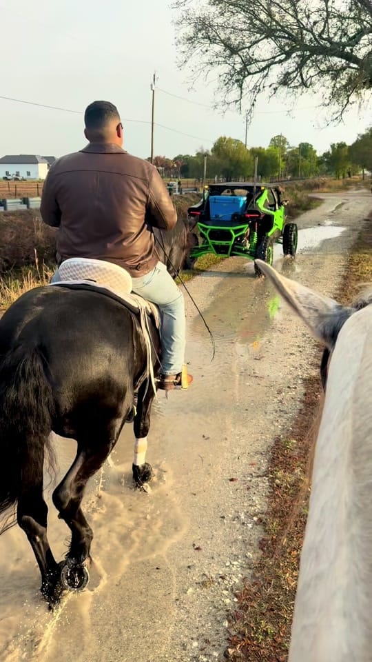Post 4 by G&S Ranch on TikTok (video)
