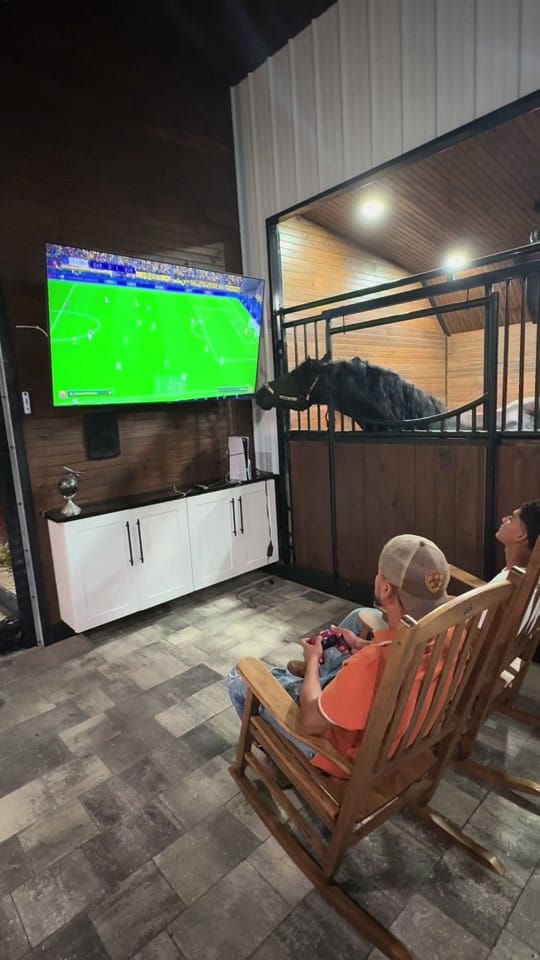 Post 9 by G&S Ranch on TikTok (video)