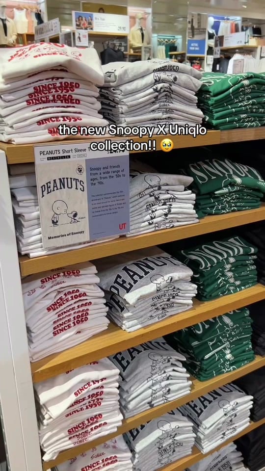 Post 9 by Meili Zhang on TikTok (video)
