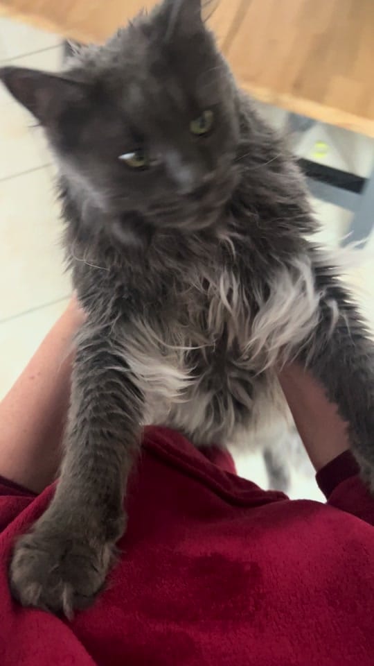 Post 4 by Alex Sandraz on TikTok (video)
