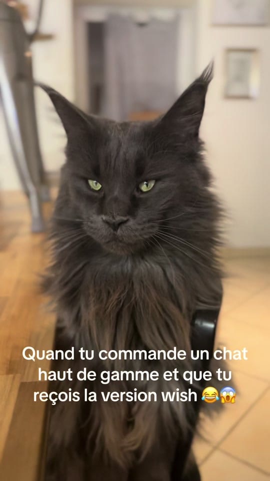 Post 7 by Alex Sandraz on TikTok (video)