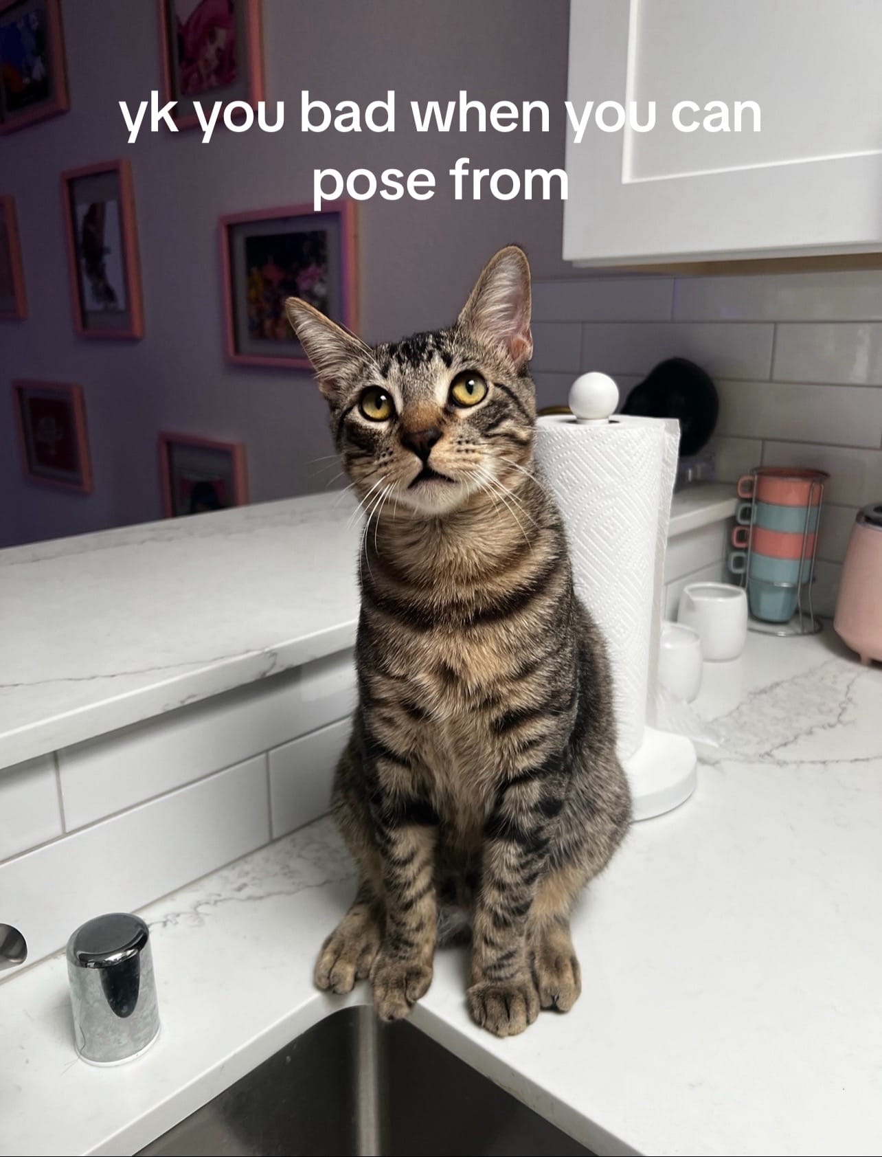 Post 1 by caitlinpobieglo on TikTok (video)