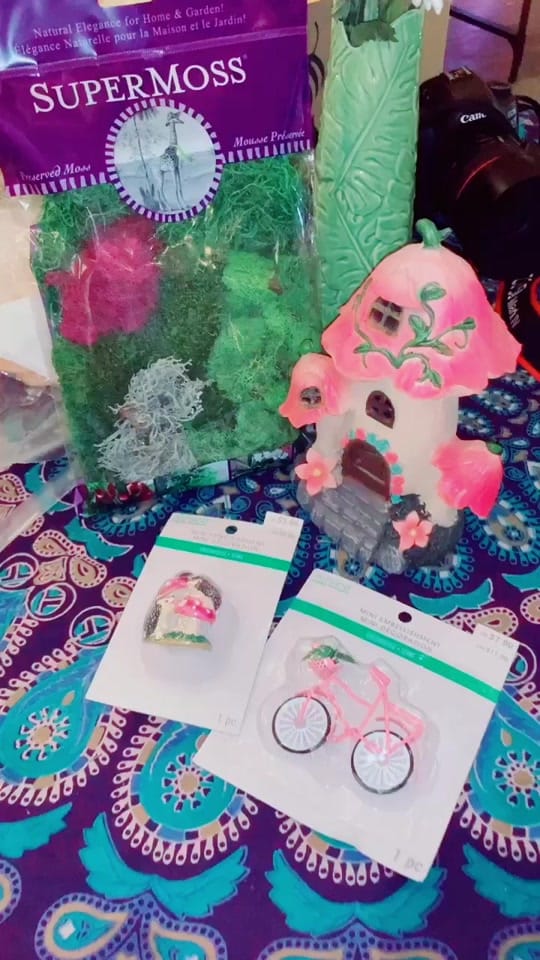 Post 8 by caitlinpobieglo on TikTok (video)