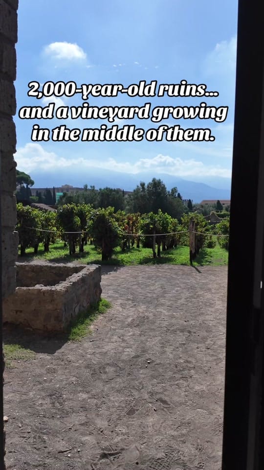 Post 5 by Armando Mounjaro Travels on TikTok (video)