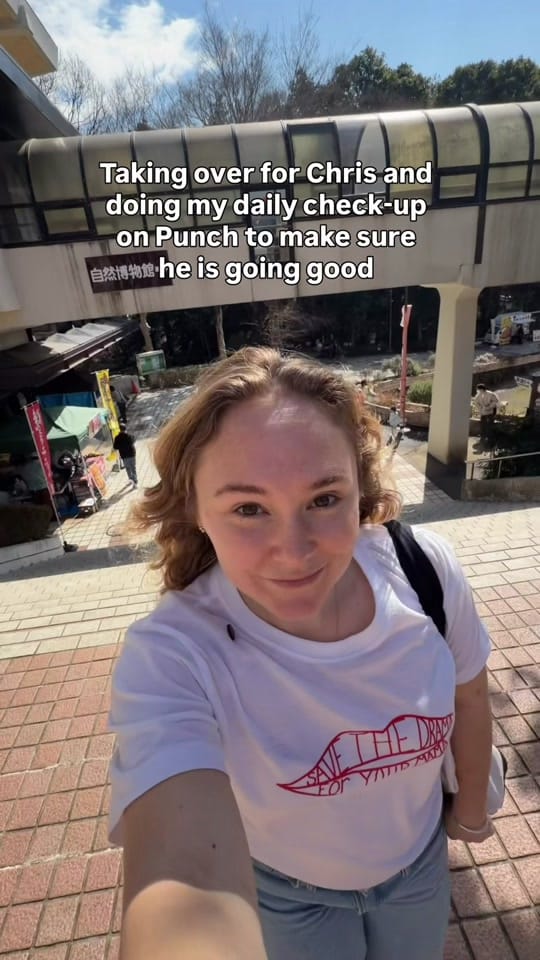 Post 6 by Brooke Johnson on TikTok (video)