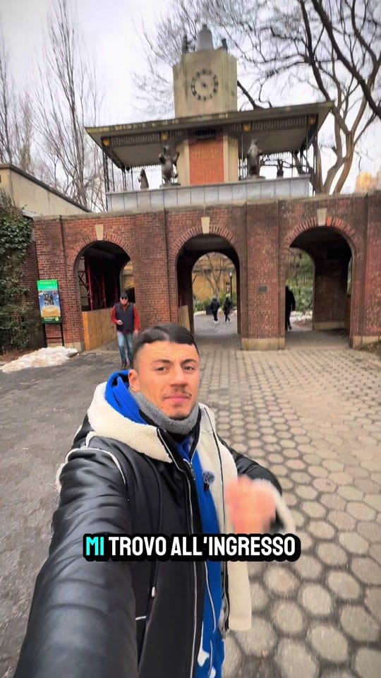 Post 7 by costantinonapolitano on TikTok (video)