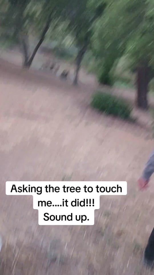 Post 8 by Javier Tak Espinoza on TikTok (video)