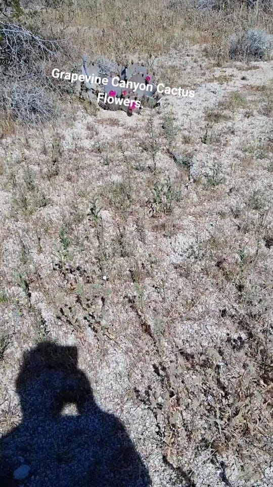 Post 6 by Javier Tak Espinoza on TikTok (video)