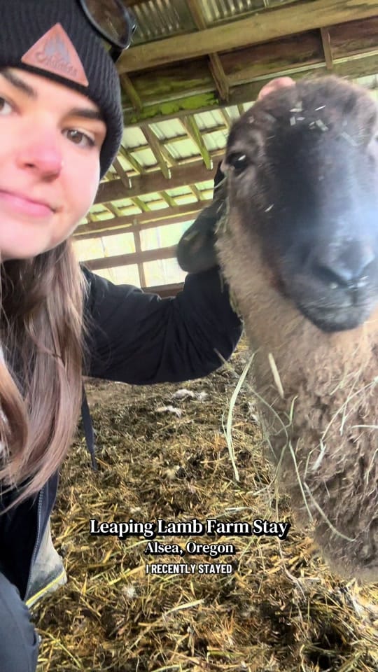 Post 2 by Morgan on the Move Travel on TikTok (video)