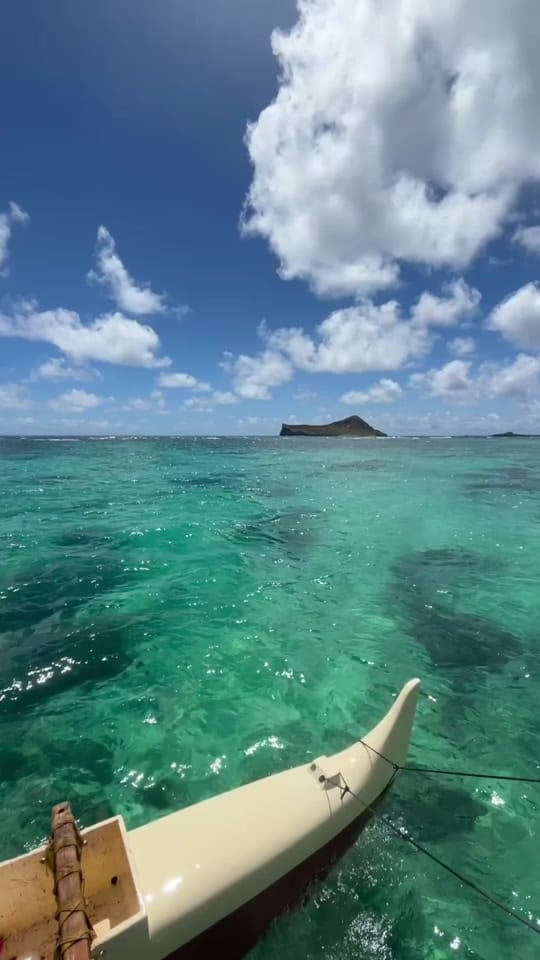 Post 8 by hawaiiaquaman on TikTok (video)