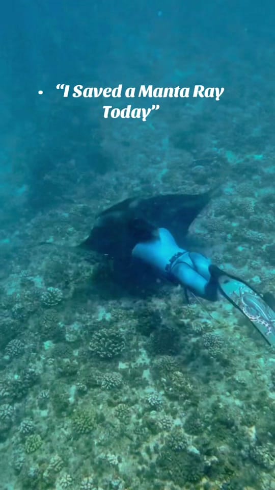 Post 10 by hawaiiaquaman on TikTok (video)