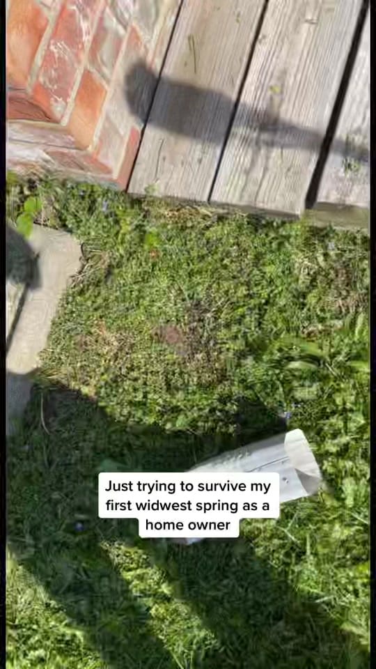 Post 9 by Maggie on TikTok (video)