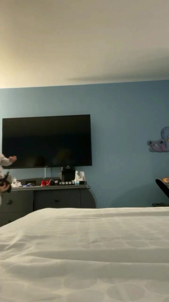 Post 2 by lafsfamily on TikTok (video)