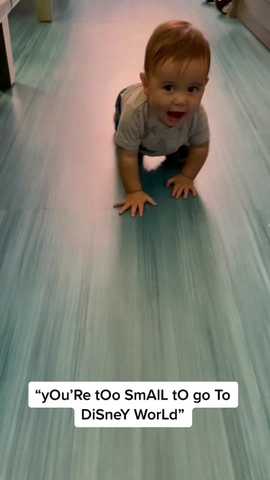 Post 3 by lafsfamily on TikTok (video)