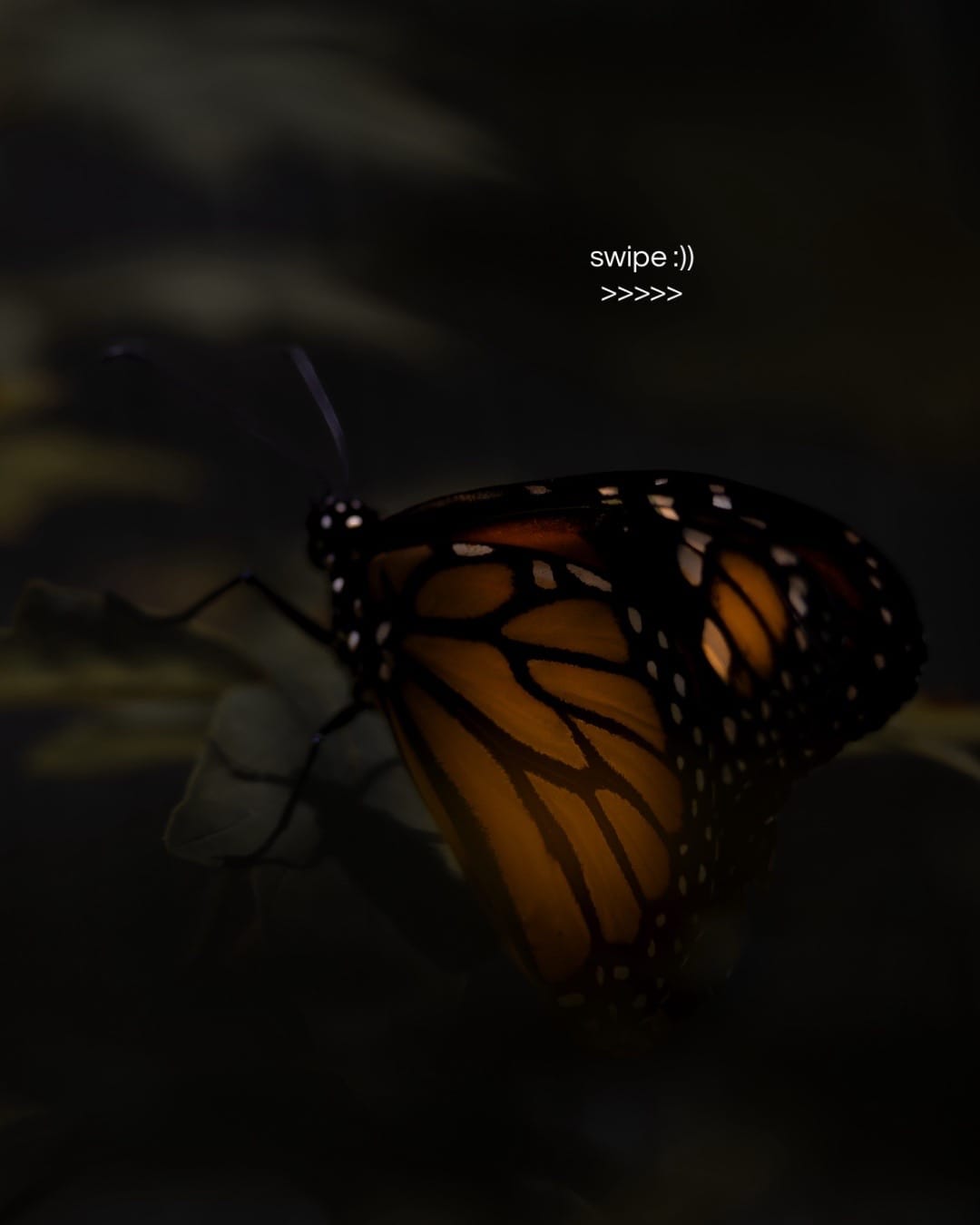 Post 2 by 𝒦𝑒𝓃𝒹𝒶𝓁𝓁 ❦ on TikTok (video)