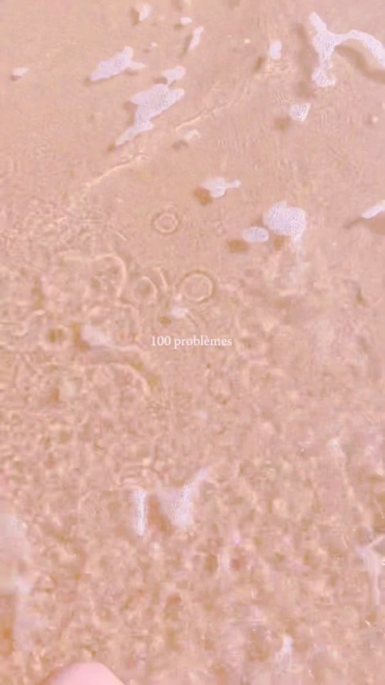 Post 10 by Evabeluga on TikTok (video)