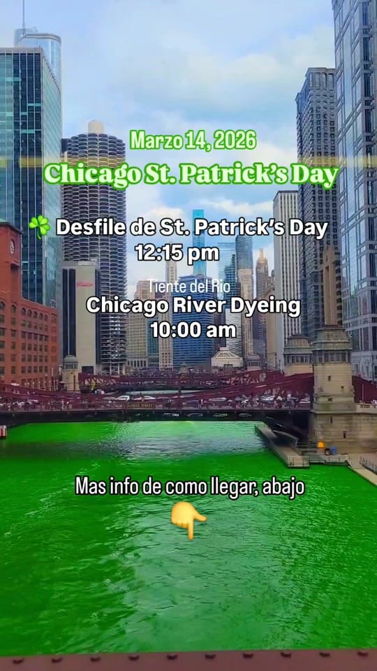 Post 2 by Chido Chicago on TikTok (video)