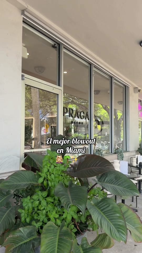 Post 4 by itsgivingmariana on TikTok (video)