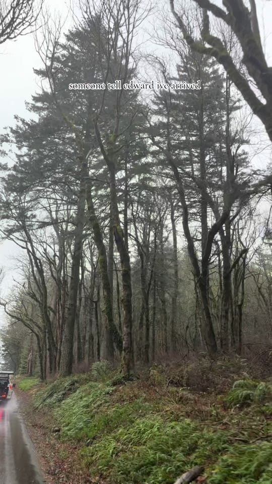 Post 7 by alexa alvarez on TikTok (video)