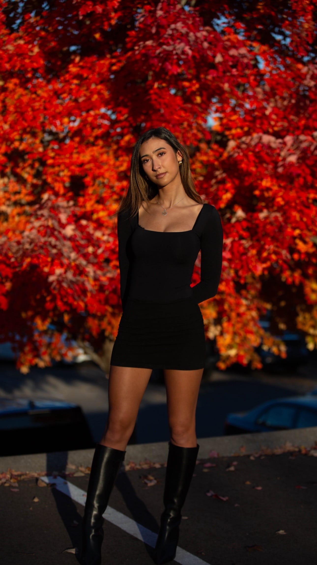 Post 5 by Daishawn on TikTok (video)