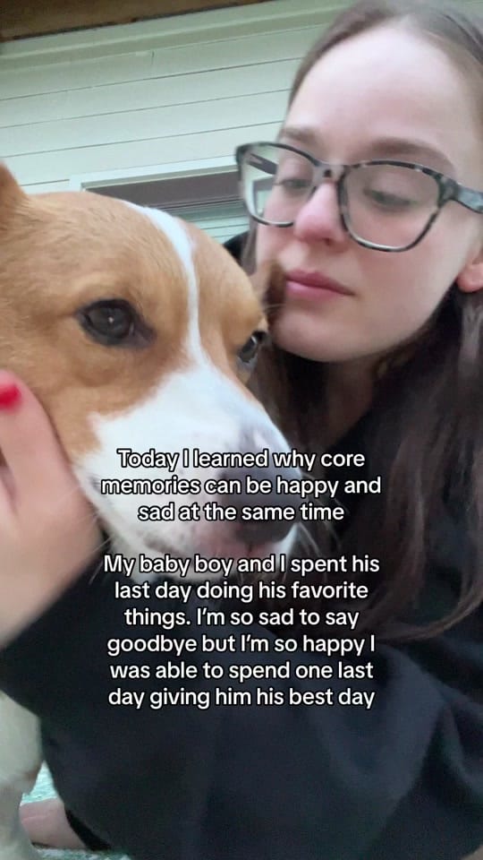 Post 9 by Kylie on TikTok (video)