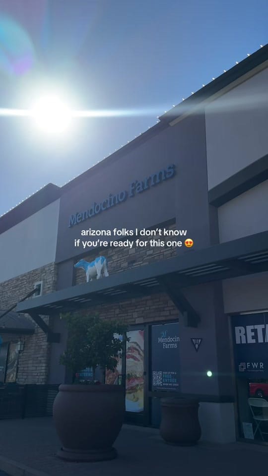 Post 8 by Emma Boersma on TikTok (video)