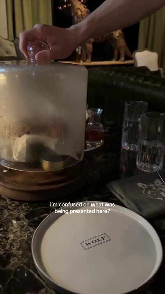 Post 6 by Ivy Moon | lifestyle creator on TikTok (video)