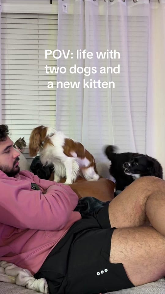 Post 5 by Gretta Sophia on TikTok (video)