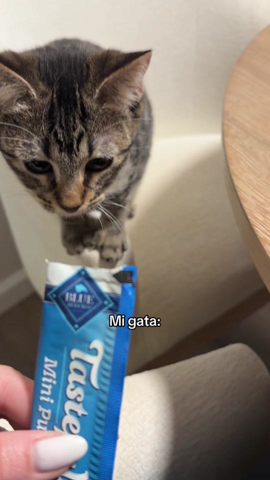 Post 2 by Gretta Sophia on TikTok (video)