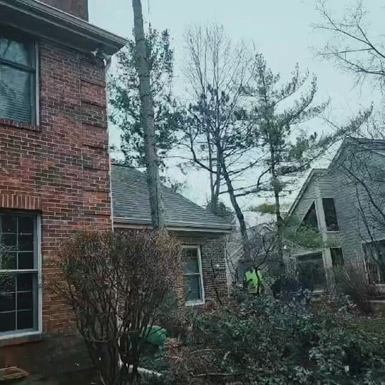 Post 3 by Rieke Justin on TikTok (video)