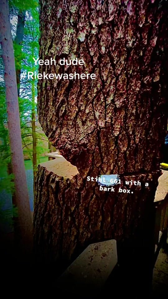 Post 6 by Rieke Justin on TikTok (video)