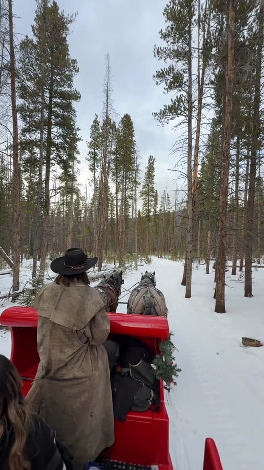 Post 6 by Tania Serrano | Denver,co on TikTok (video)