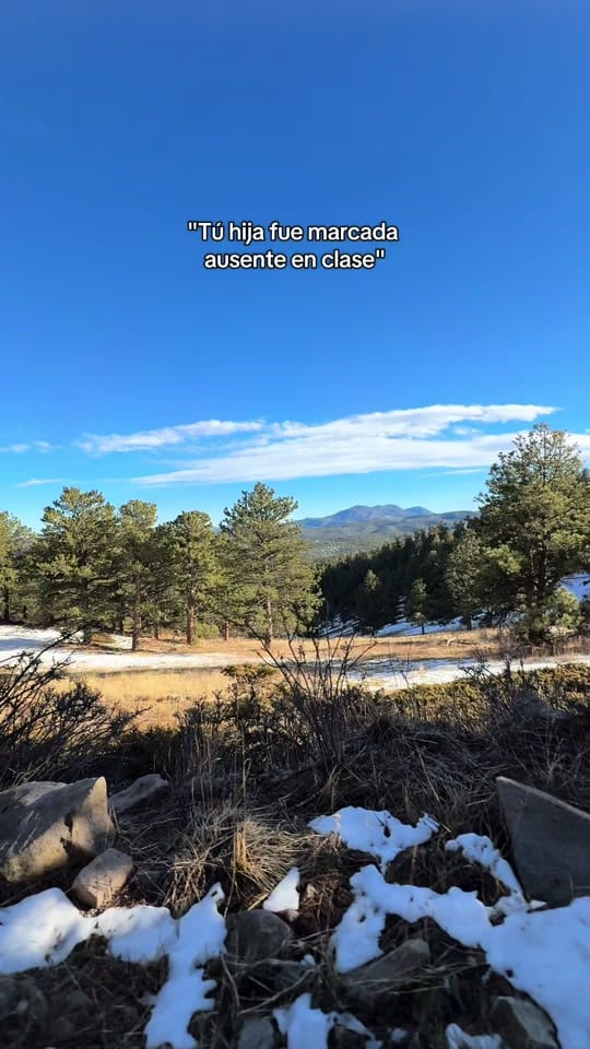 Post 3 by Tania Serrano | Denver,co on TikTok (video)