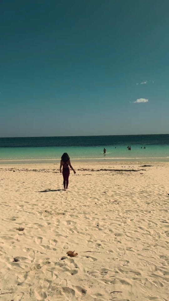 Post 9 by ashleymangin on TikTok (video)