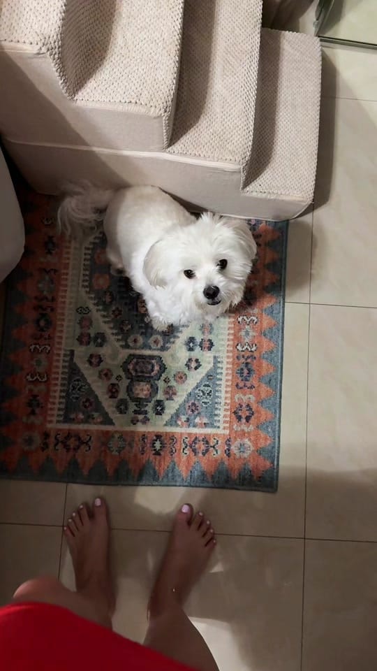Post 8 by Mabel Sanchez 🧃 on TikTok (video)