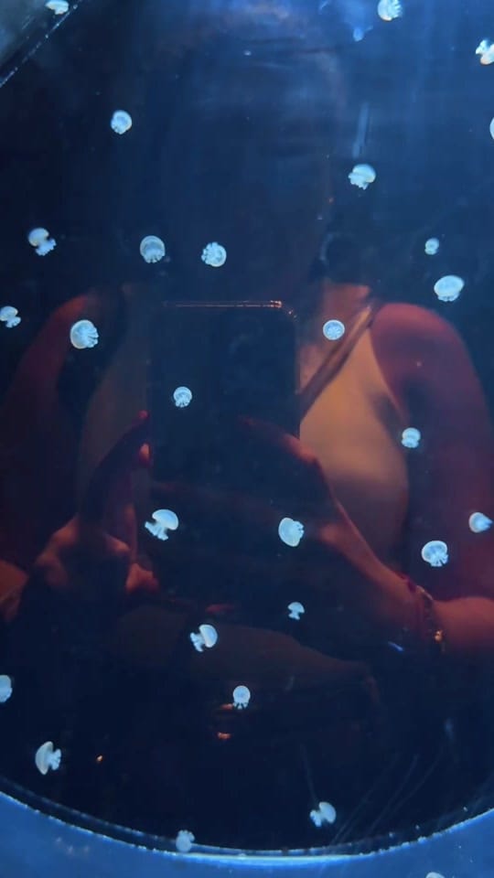 Post 3 by Mabel Sanchez 🧃 on TikTok (video)