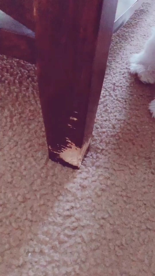 Post 10 by Mabel Sanchez 🧃 on TikTok (video)