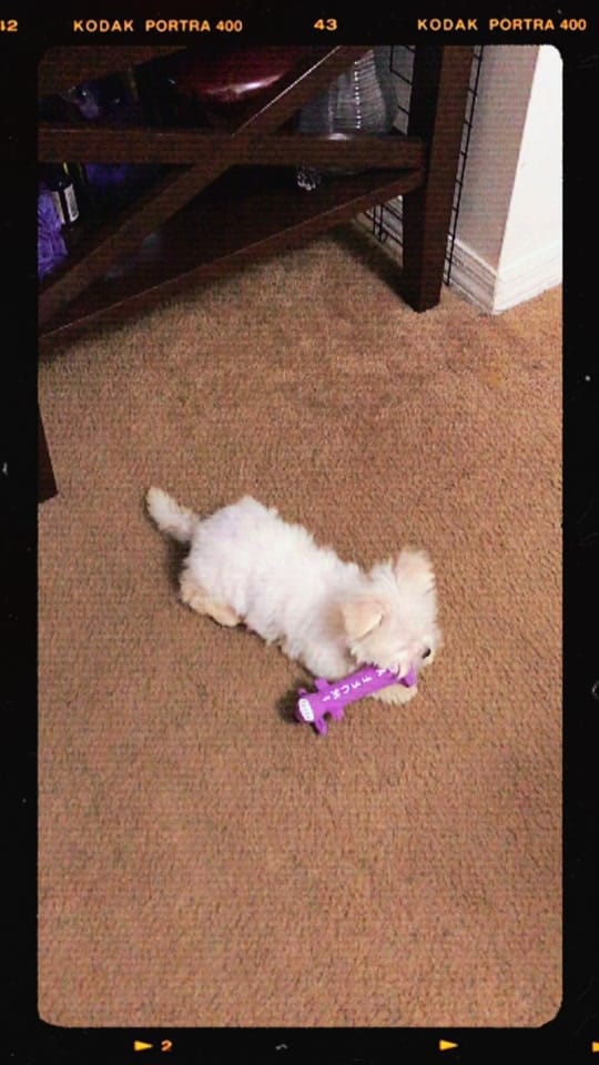 Post 5 by Mabel Sanchez 🧃 on TikTok (video)