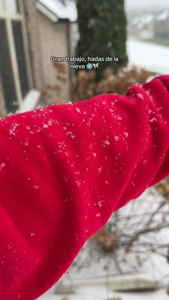 Post 5 by Elizabeth on TikTok (video)