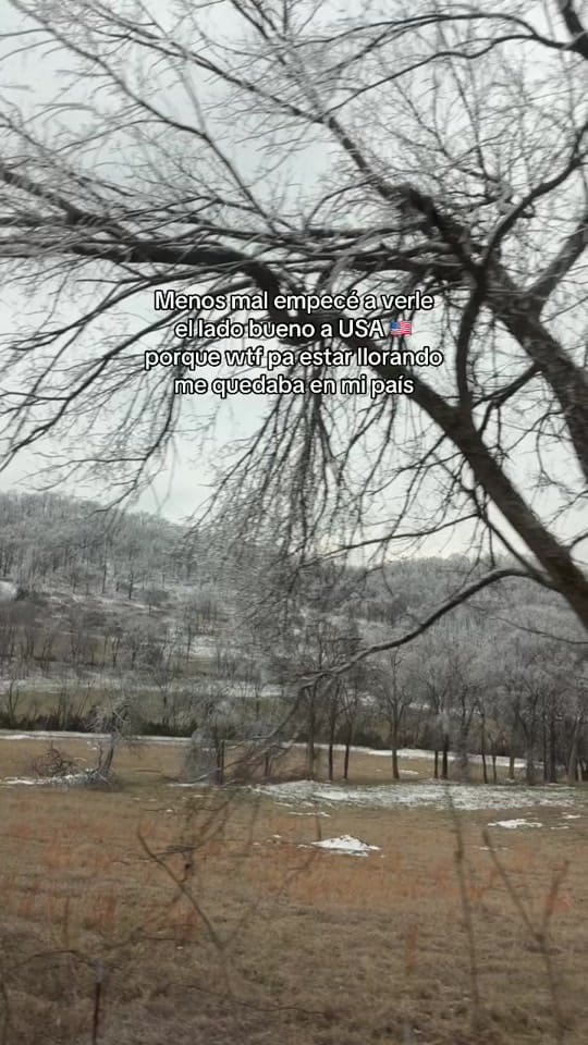 Post 3 by Elizabeth on TikTok (video)