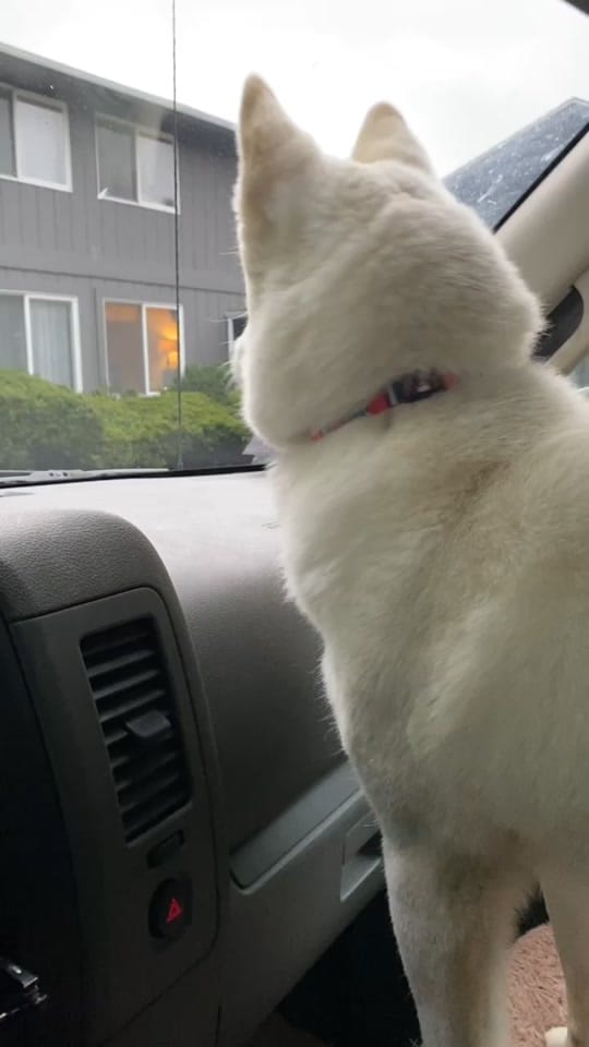 Post 10 by Maddie ✈️🍉 on TikTok (video)