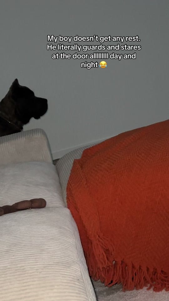 Post 7 by Meelah on TikTok (video)