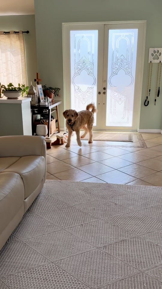 Post 3 by casey church ☼ on TikTok (video)