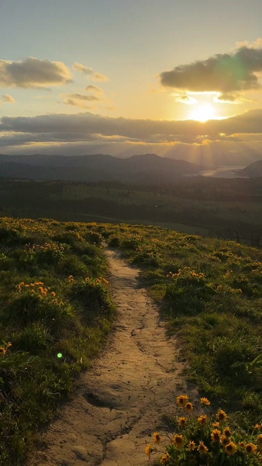 Post 10 by shotbyluisgabriel on TikTok (video)