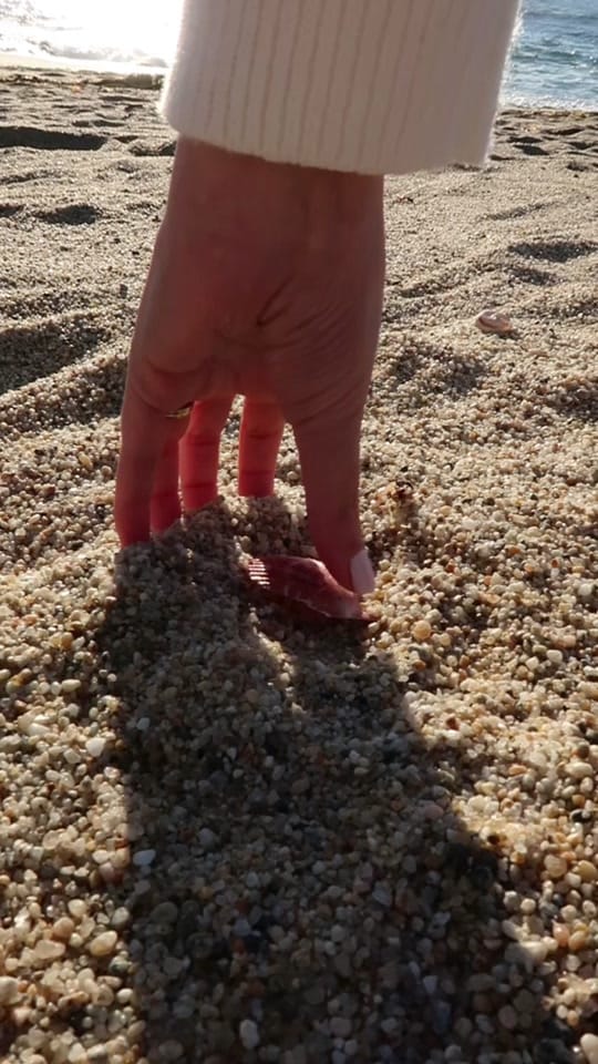 Post 9 by brianavivian 🍓 on TikTok (video)
