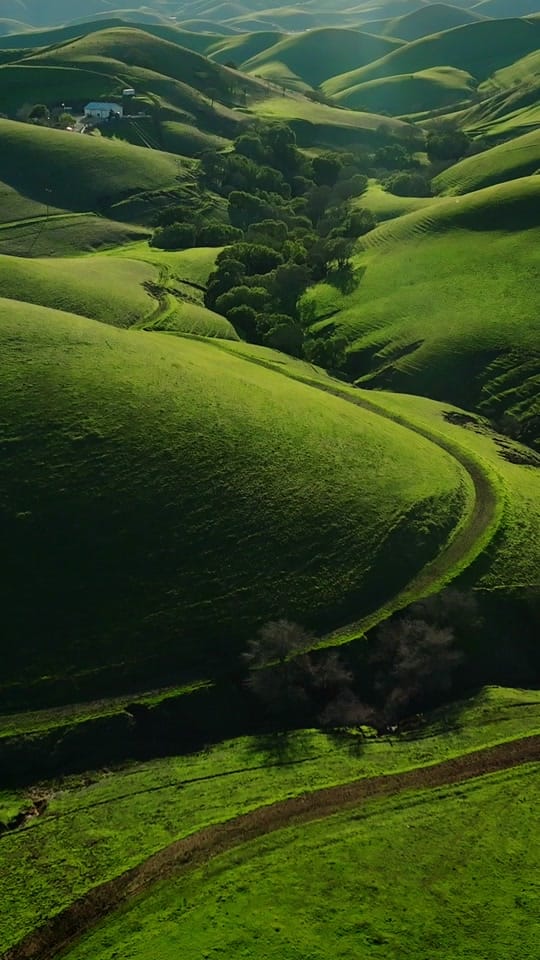 Post 5 by Michael Lax on TikTok (video)