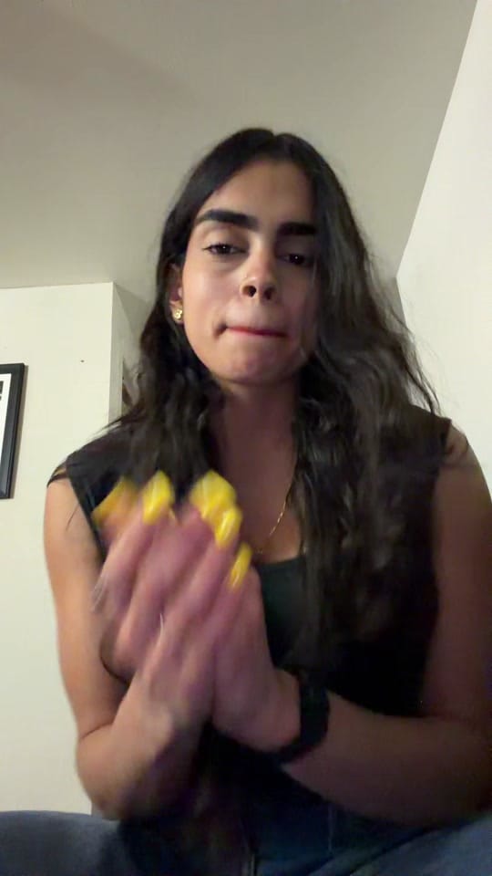 Post 1 by Noemi Ottenwalder on TikTok (video)
