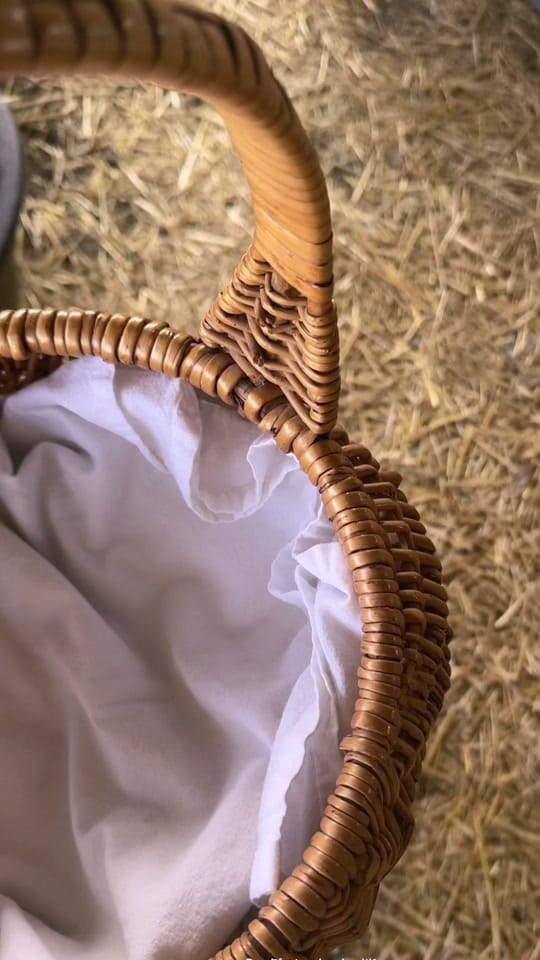 Post 5 by Caitlin | Adventure Creator ✈️ on TikTok (video)