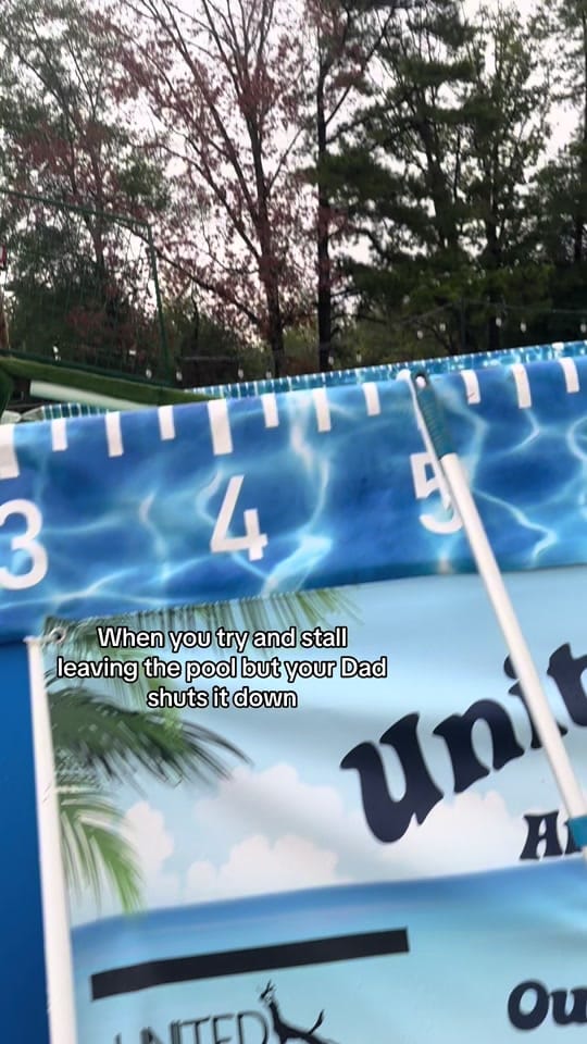 Post 9 by Adventures With Archer on TikTok (video)