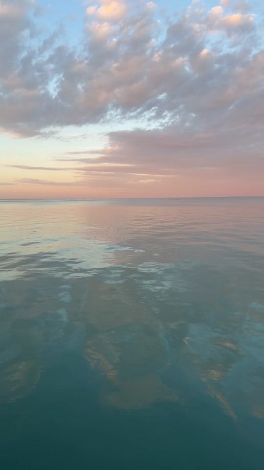 Post 2 by Tiara Yvette on TikTok (video)